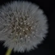 91159355_116977129935880_1297824561483481088_o