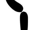 LOGO-LIGA-WEC-PC2-TRANSPARENTE-1024x667